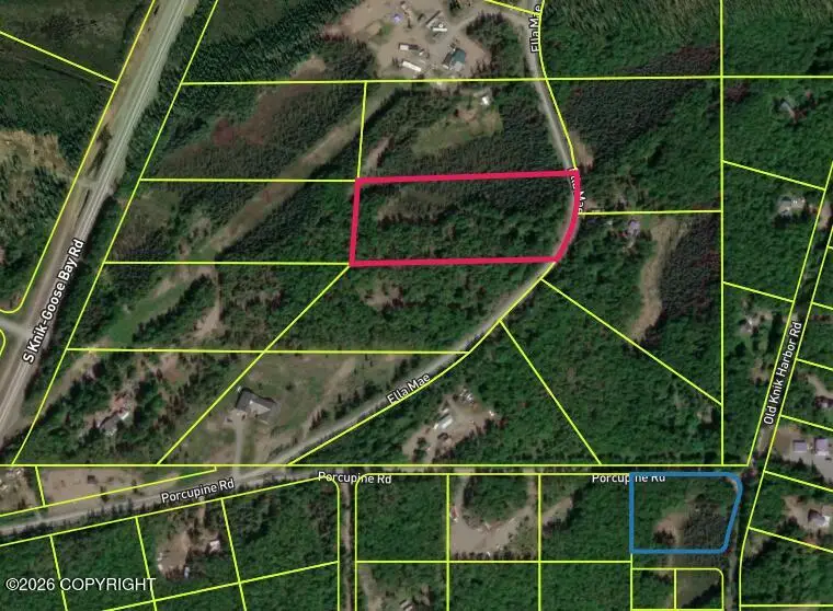12752 S Ella Louise Circle, Big Lake, AK 99623 - #1