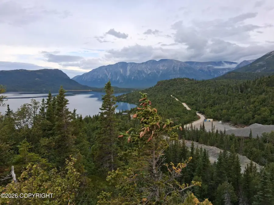 L1 Russian Creek, Iliamna, AK 99606 - #2