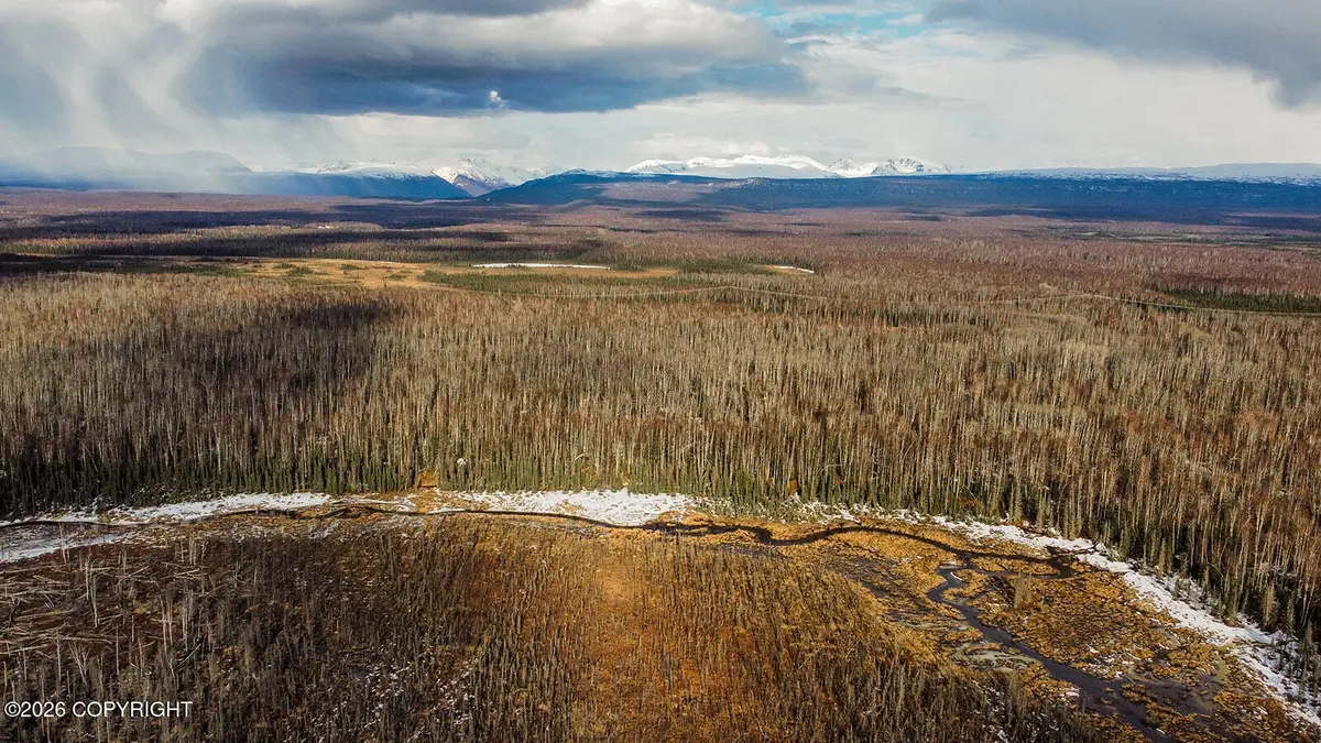 Parcel C1 Crop Circle No Road, Willow, AK 99688 - #1