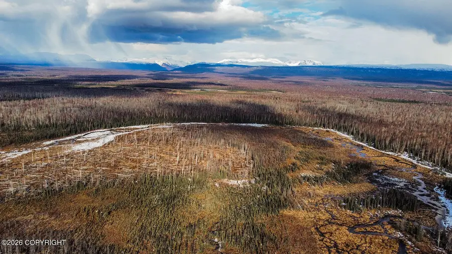 Parcel C1 Crop Circle No Road, Willow, AK 99688 - #2