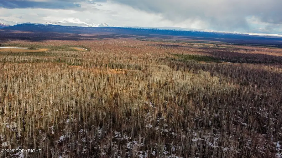 Parcel C1 Crop Circle No Road, Willow, AK 99688 - #3