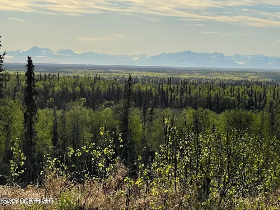 40745 Frogberry Street, Kenai, AK 99611 - #2