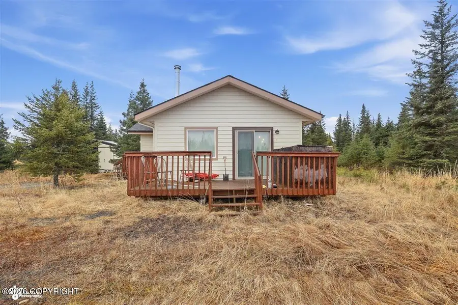 33665 Birch Street, Anchor Point, AK 99556 - #3