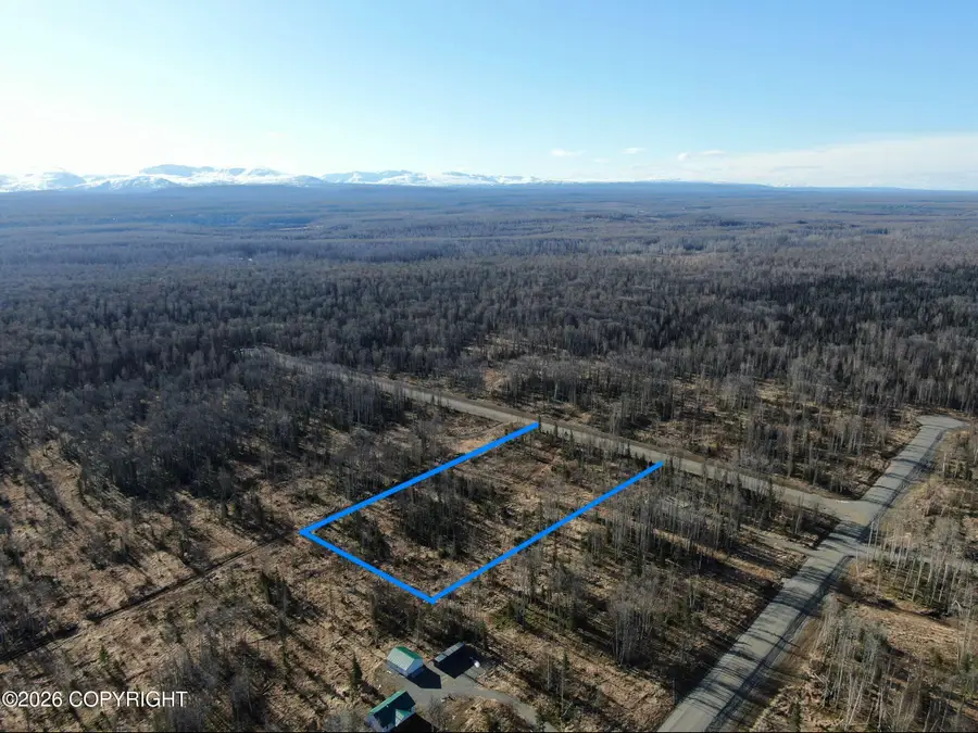 17669 E Yeldarb Avenue, Talkeetna, AK 99676 - #3