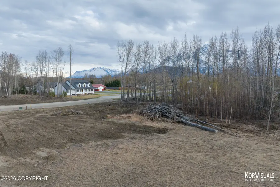 1220 S Mary Street, Palmer, AK 99645 - #3