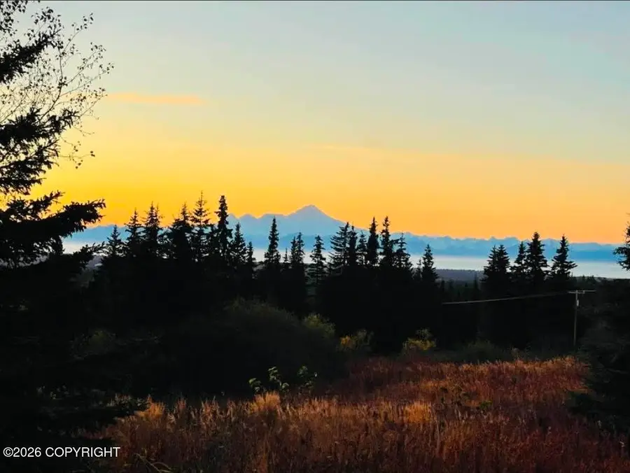 64427 Trail Road, Anchor Point, AK 99556 - #3