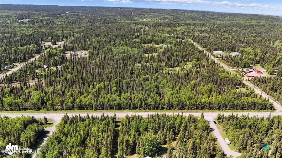 28214 N Cohoe Loop Road, Kasilof, AK 99610 - #3