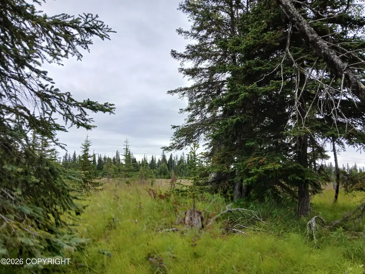 L17 Marik Street, Anchor Point, AK 99556 - #1