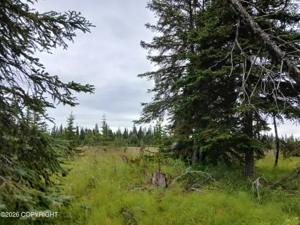 L17 Marik Street, Anchor Point, AK 99556