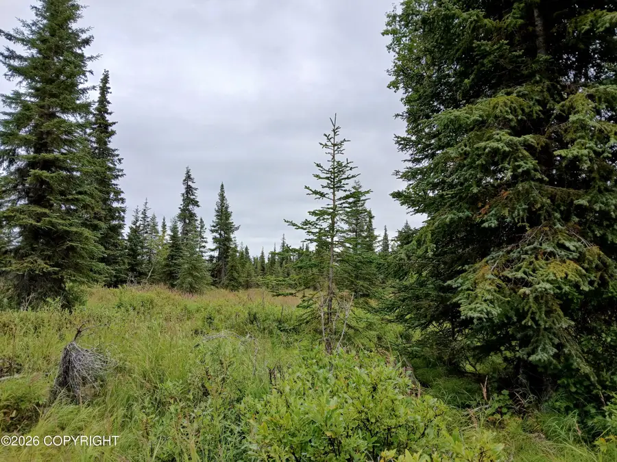 L17 Marik Street, Anchor Point, AK 99556 - #3