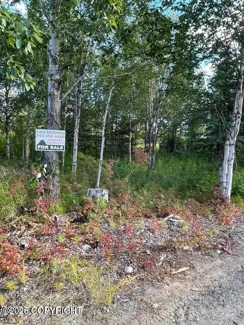 25850 Stinkbug Street, Ninilchik, AK 99556