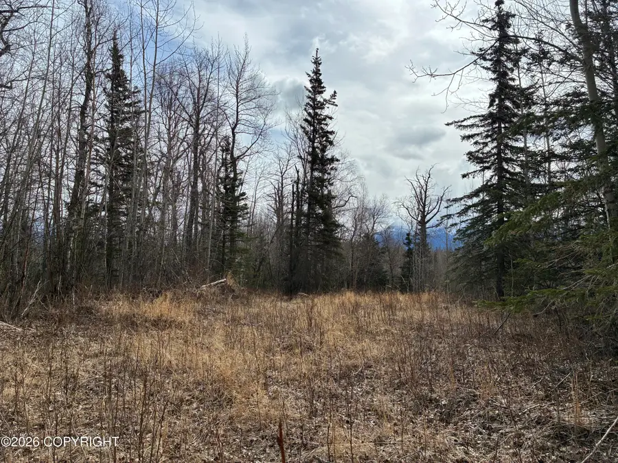 8898 E Garrett Woodson Drive, Palmer, AK 99645 - #3