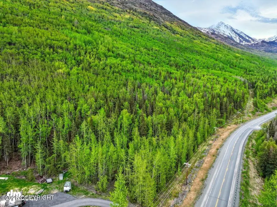 L12 Overlook Estates, Eagle River, AK 99577 - #3