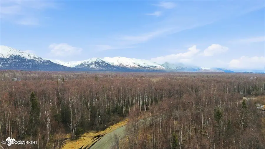4620 E Hart Lake Loop, Wasilla, AK 99654 - #3
