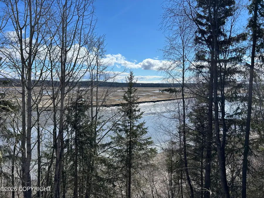 27264 Tideland Street, Kasilof, AK 99610 - #3