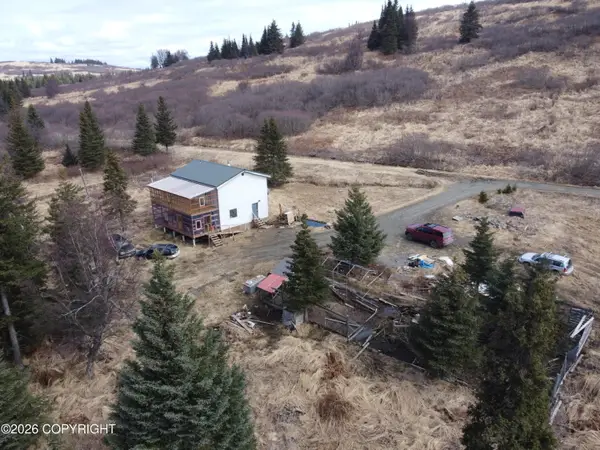 31779 Podgorna Place, Anchor Point, AK 99556