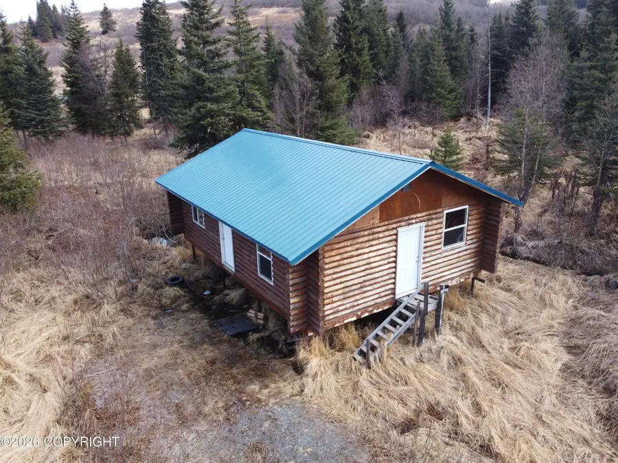 31779 Podgorna Place, Anchor Point, AK 99556 - #2