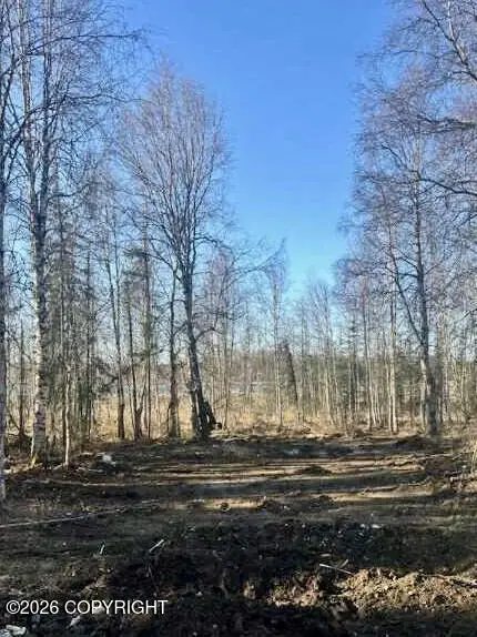 13026 N Pettis Drive, Willow, AK 99688