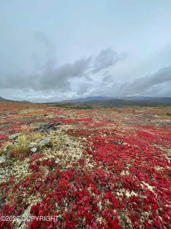 L4 Asls 80-176, Talkeetna, AK 99676
