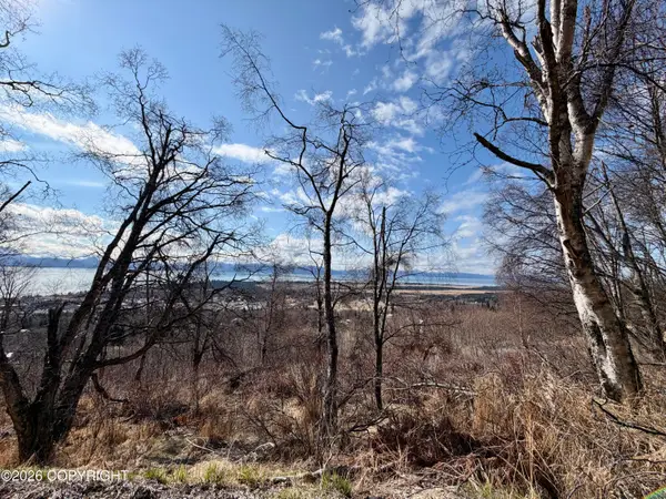 2740 Kestrel Lane, Homer, AK 99603