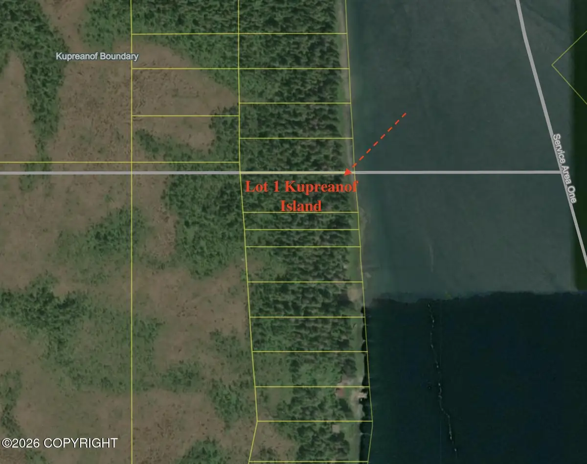 Lot 1 Kupreanof Island, Petersburg, AK 99833 - #1