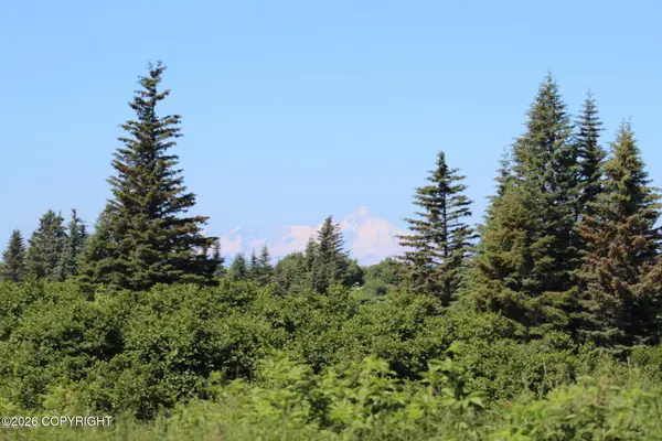 17180 Hyila Lane, Ninilchik, AK 99639