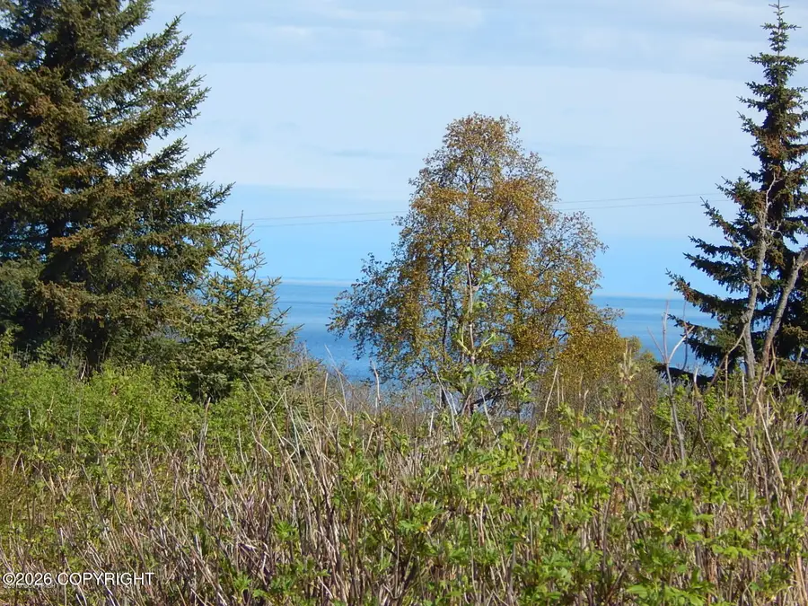 17180 Hyila Lane, Ninilchik, AK 99639 - #2