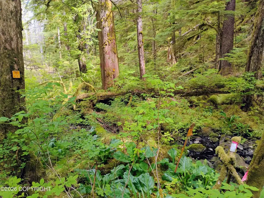 2A,2B,&3A Union Bay, Meyers Chuck, AK 99903 - Image #3