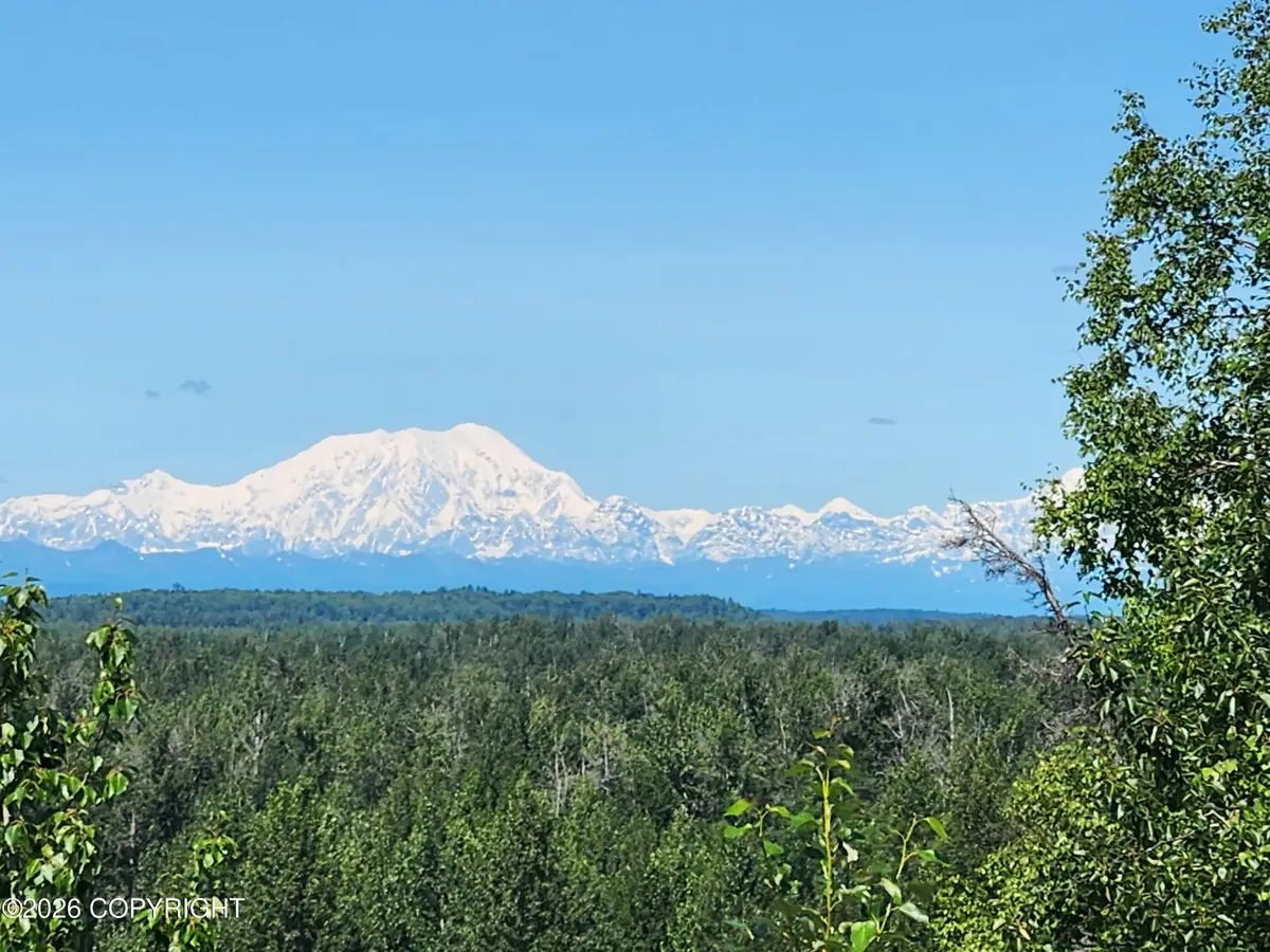 23002 N Gerald Circle, Willow, AK 99688 - #1