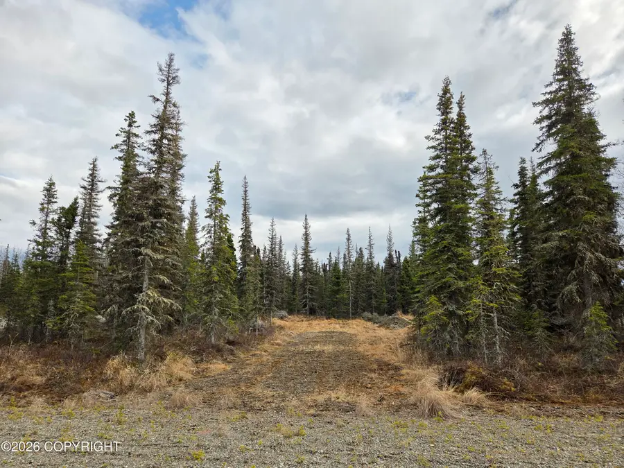 50123 Buoy Avenue, Kalifornsky, AK 99611 - #2