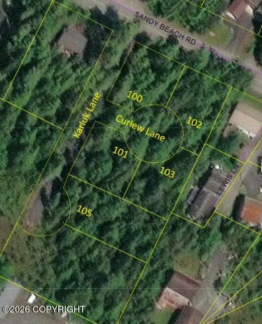 103 Curlew Lane, Petersburg, AK 99833 - #1