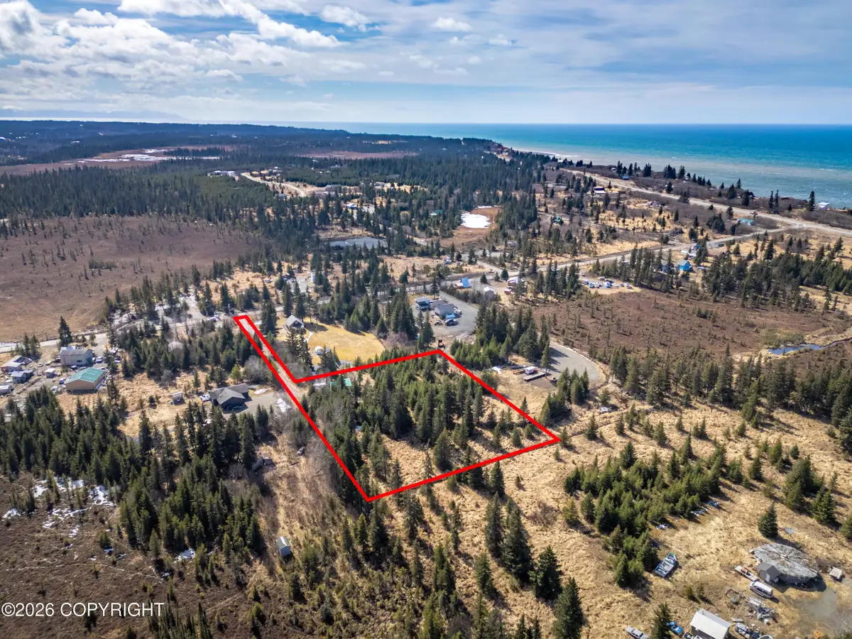 71746 Cape Ninilchik Avenue, Anchor Point, AK 99556 - #1