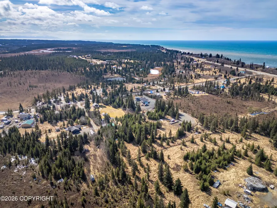 71746 Cape Ninilchik Avenue, Anchor Point, AK 99556 - #2