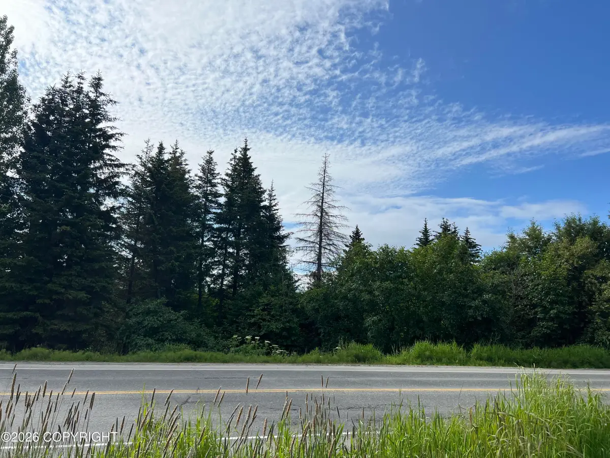 1611 E End Road, Homer, AK 99603 - #1