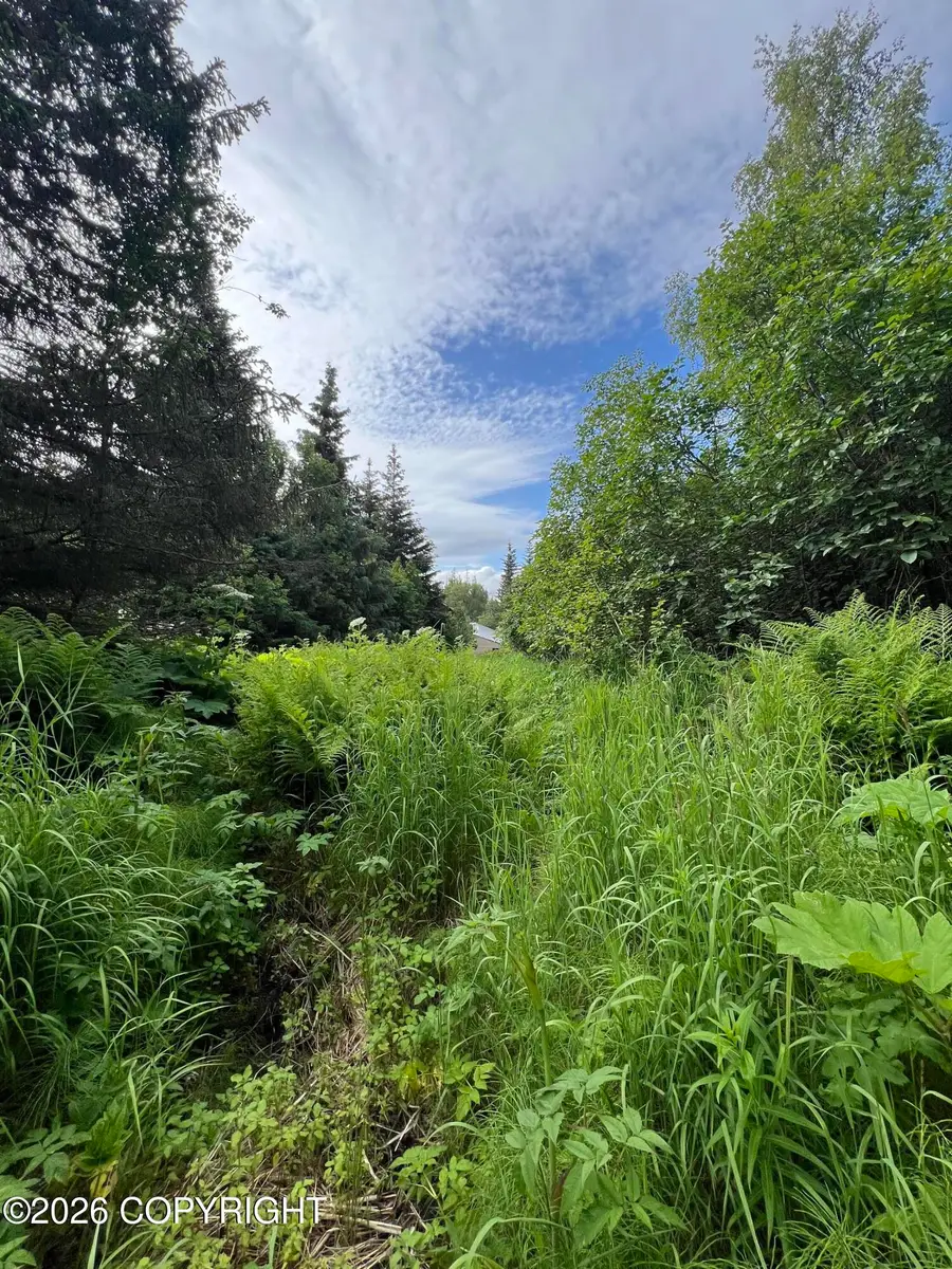 1611 E End Road, Homer, AK 99603 - #2