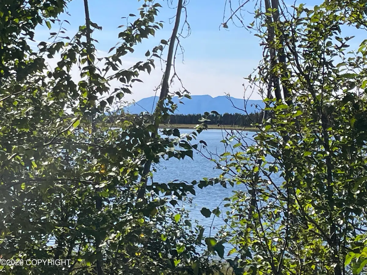 5280 S Horseshoe Lake Road, Big Lake, AK 99652 - #1