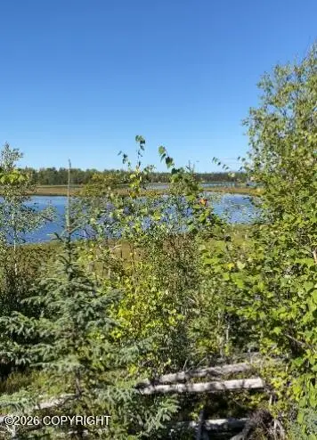5280 S Horseshoe Lake Road, Big Lake, AK 99652 - #2