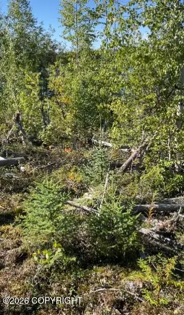 5280 S Horseshoe Lake Road, Big Lake, AK 99652 - #3