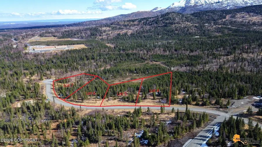 L6 B5 Mountain Air Drive, Anchorage, AK 99516 - #2