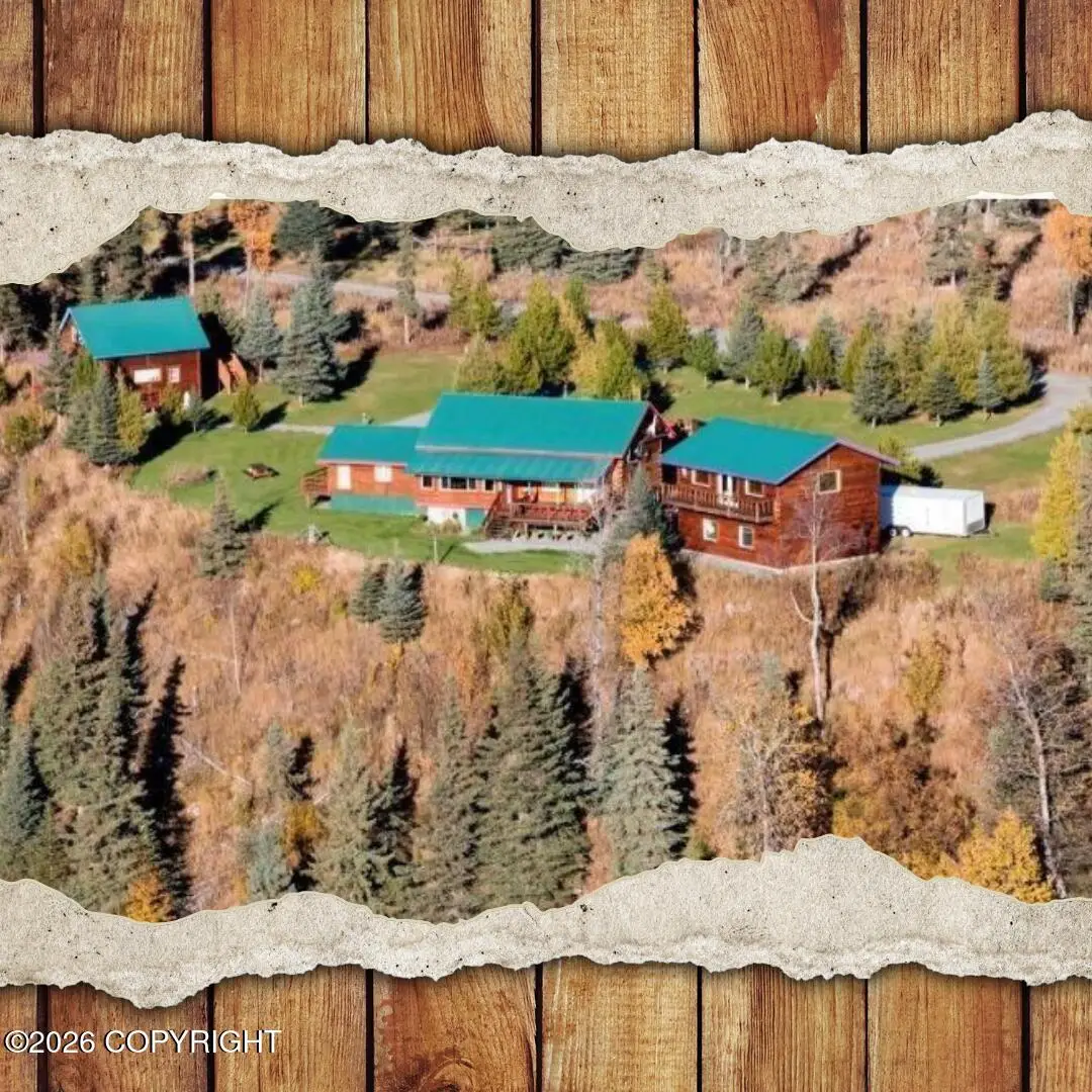17471 Todd Road, Ninilchik, AK 99639 - #1