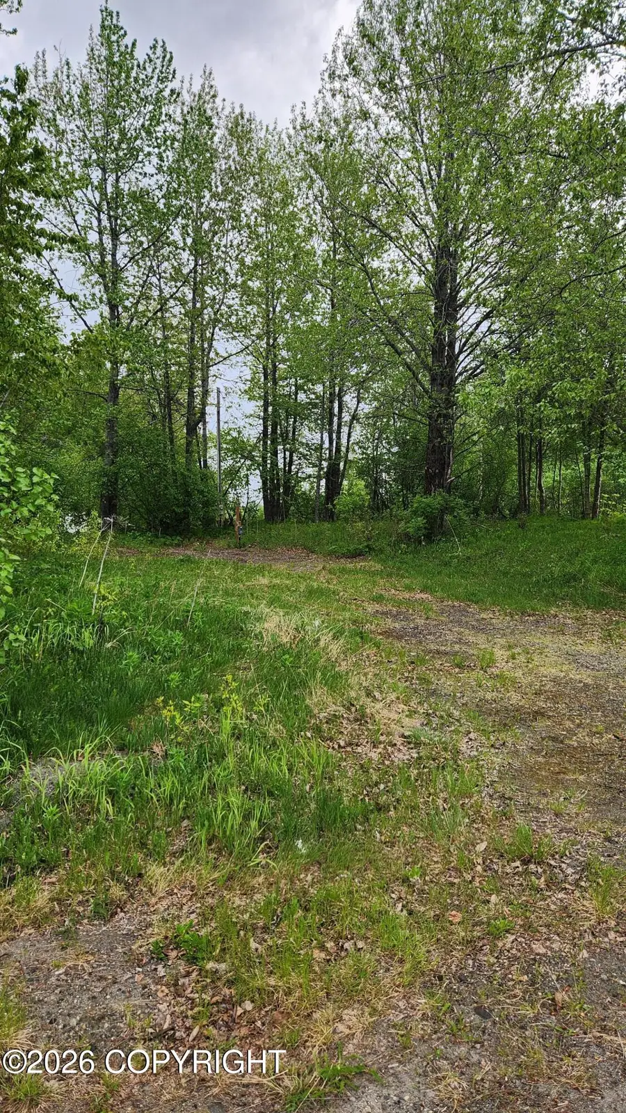 51876 Mcgahan Drive, Nikiski, AK 99635 - #2