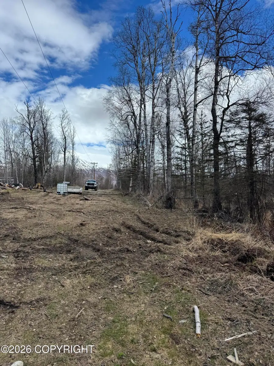 9351 N Pine Drive, Palmer, AK 99645 - #2