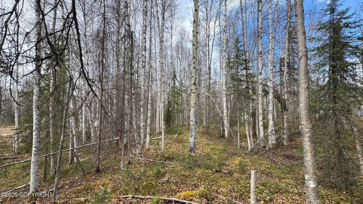 19941 E Twentyinch Avenue, Willow, AK 99688 - #1
