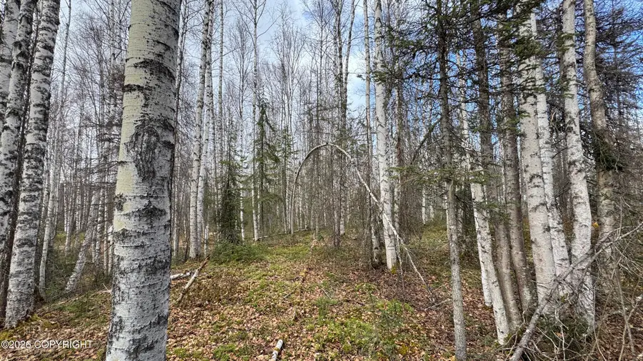 19941 E Twentyinch Avenue, Willow, AK 99688 - #2