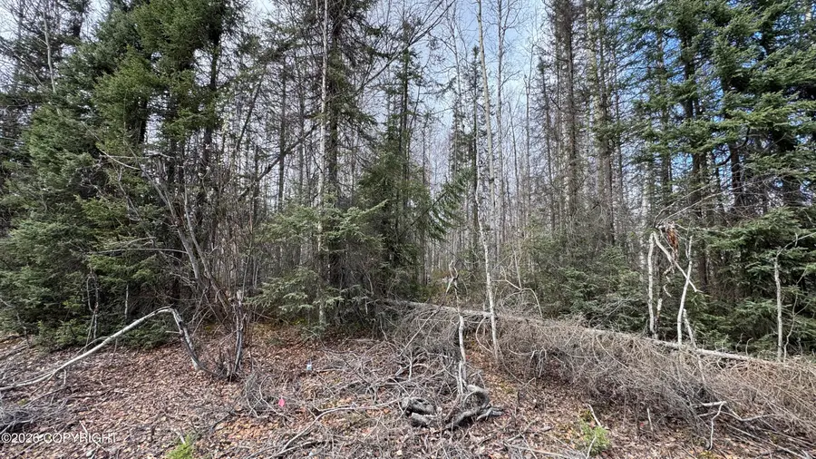 19941 E Twentyinch Avenue, Willow, AK 99688 - #3