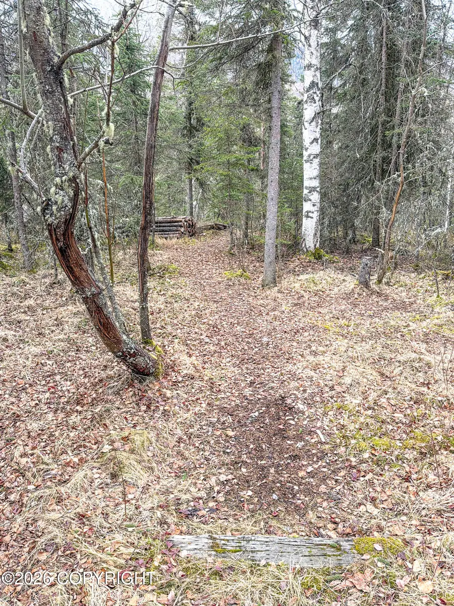 19036 Mountain Point Circle, Eagle River, AK 99577 - #3