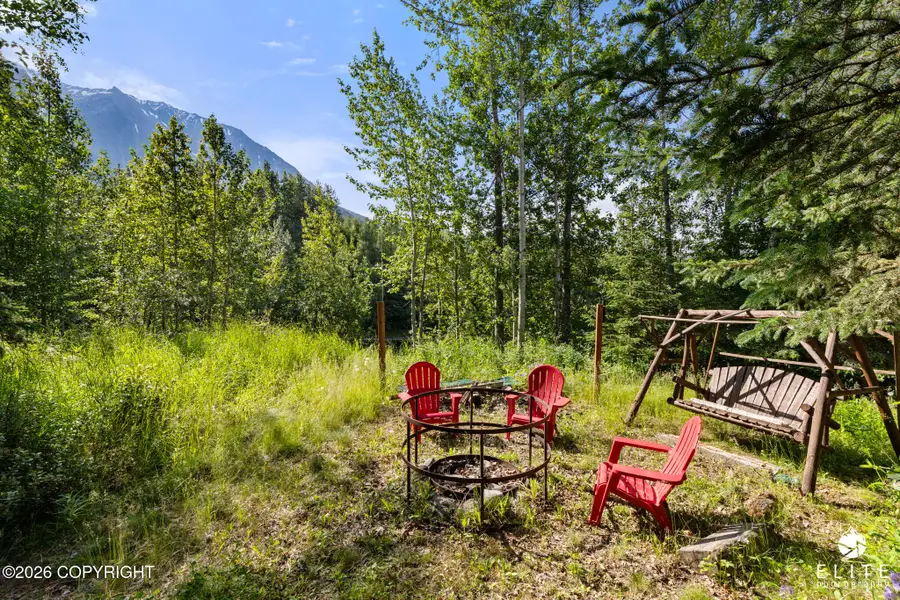 33695 E Oline Circle, Chickaloon, AK 99674 - #3