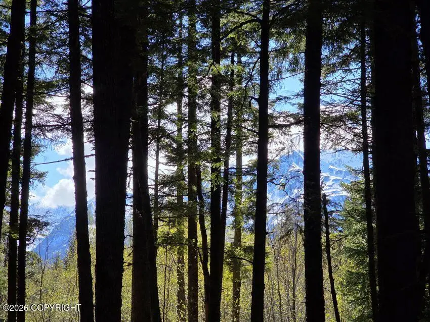 Lot 14 Pyramid Drive, Haines, AK 99827 - #3