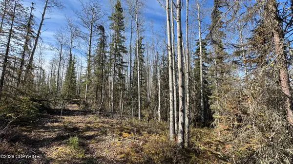 480 N Forest Hills Drive, Wasilla, AK 99623