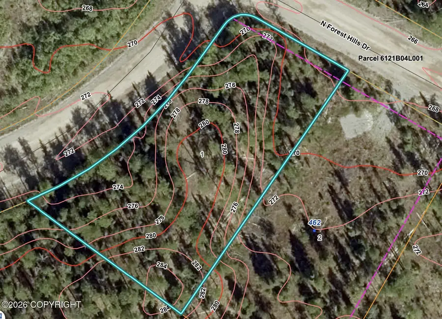 480 N Forest Hills Drive, Wasilla, AK 99623 - #2
